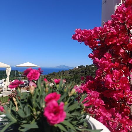 La Campagnola Apartamento Anacapri  Exterior foto